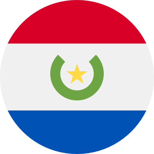 Icono Paraguay