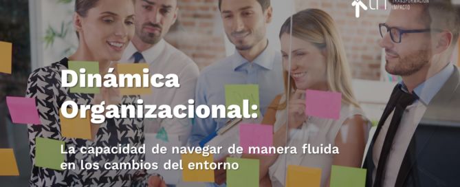 Dinámica organizacional: la capacidad de navegar de manera fluida en los cambios del entorno banerTRILATAM
