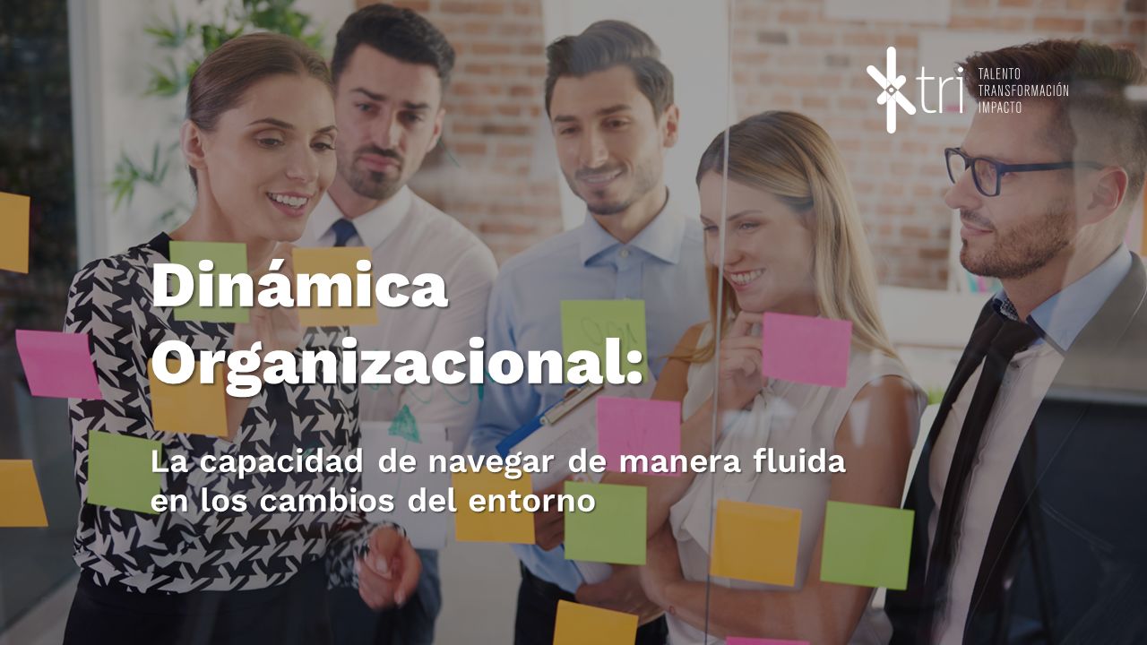 Dinámica organizacional: la capacidad de navegar de manera fluida en los cambios del entorno banerTRILATAM