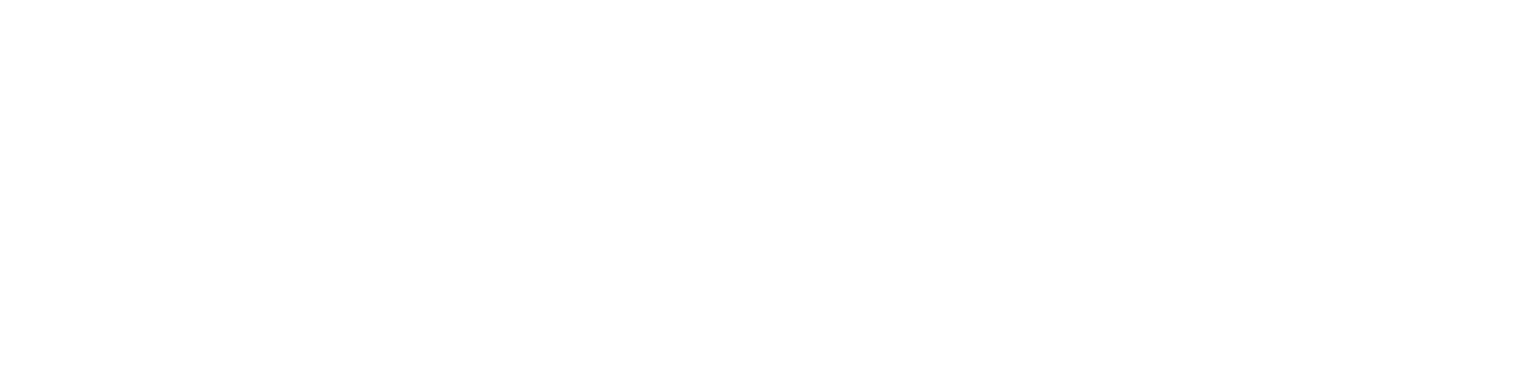 logo blanco 1